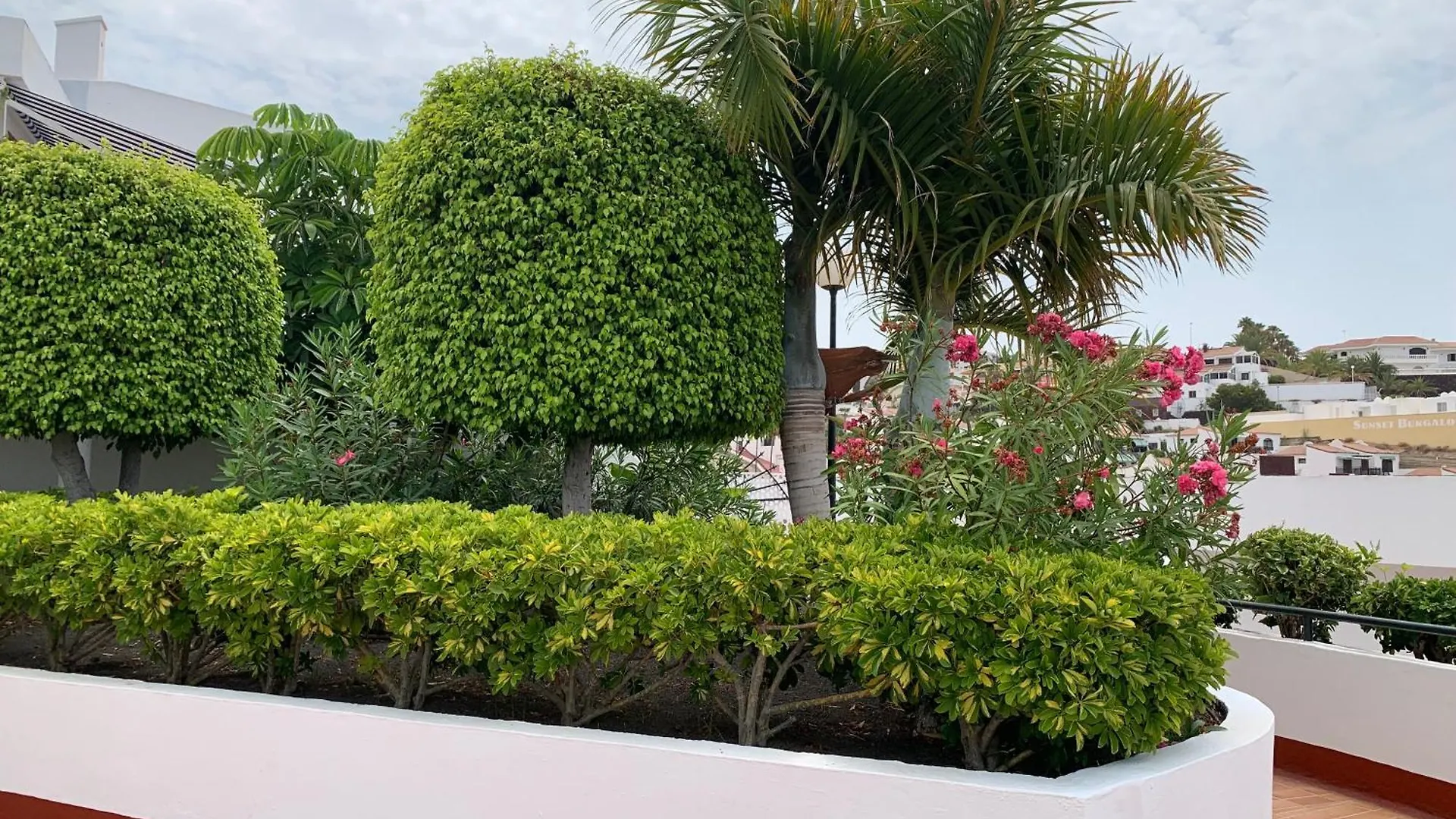 Ocean Breeze And Seaview Resort Costa Adeje  Spanien